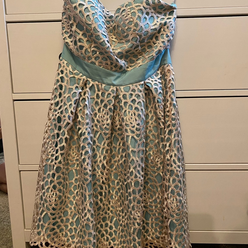 Minuet Overlay Dress